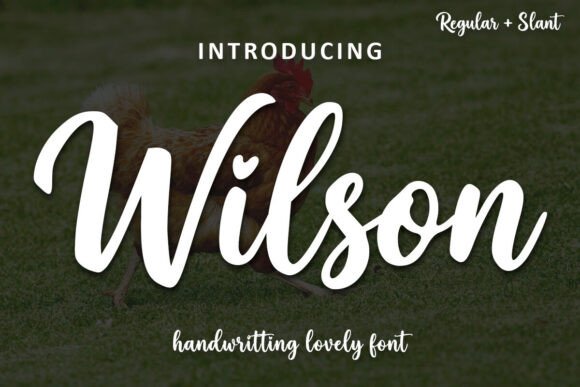 Wilson: The Handwritten Font That Feels Like a Friend